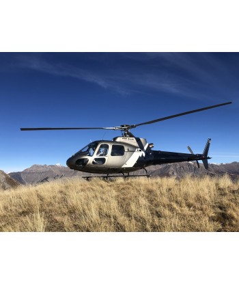 GRENOBLE - Introductory flight on AS350 60 min