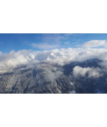 GRENOBLE - Mont-Blanc et Massifs AS350, 1h30