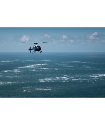VANNES - Vol d'initiation au pilotage AS350 30 min